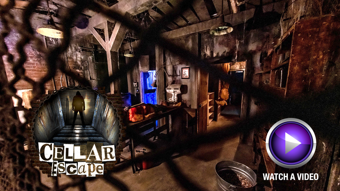 cellar escape watch video